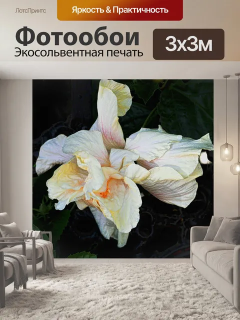 Фотообои Бумага цветок