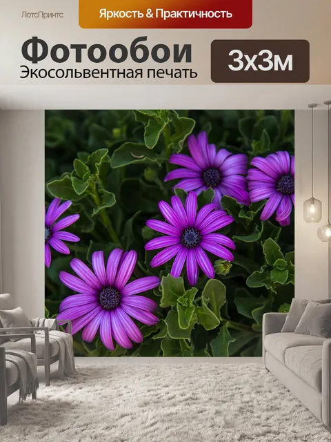 Фотообои Цветы
