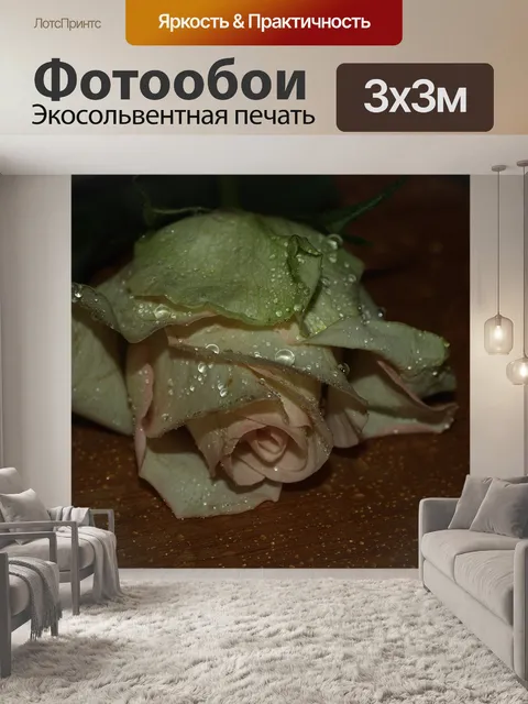 Фотообои Роза