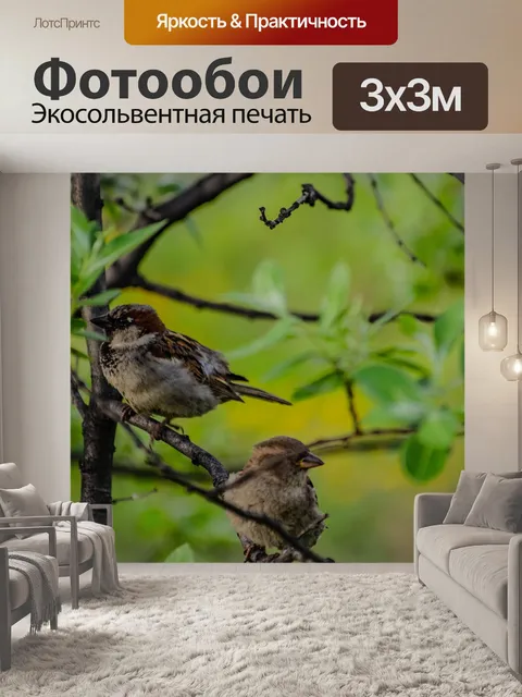 Фотообои Птицы