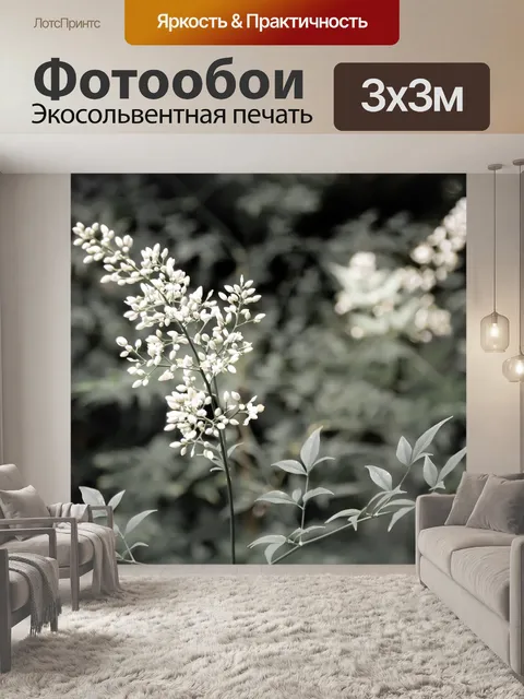 Фотообои Лес