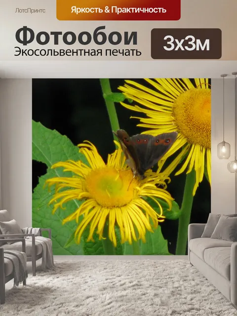 Фотообои Желтый цветок с диким бабочки