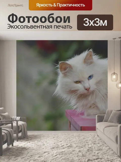 Фотообои Кошка
