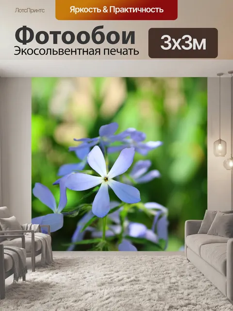 Фотообои Цветы