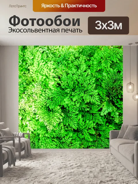 Фотообои Фон из листьев папоротника