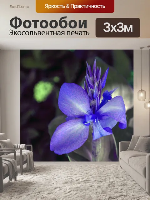 Фотообои Фиолетовый цветок лилии
