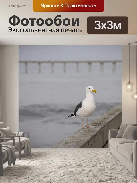 Фотообои Чайка на пирс