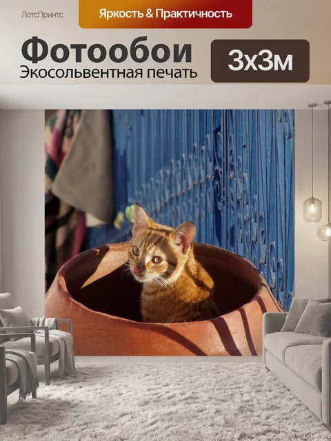 Фотообои Кошка