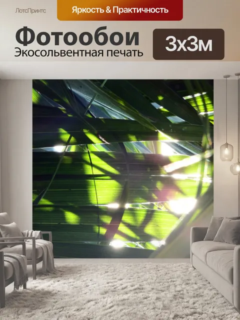 Фотообои Солнечный свет сквозь леса