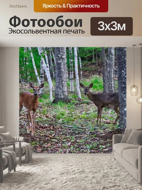 Фотообои олень