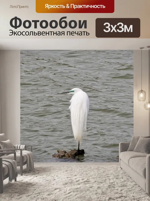 Фотообои Животное