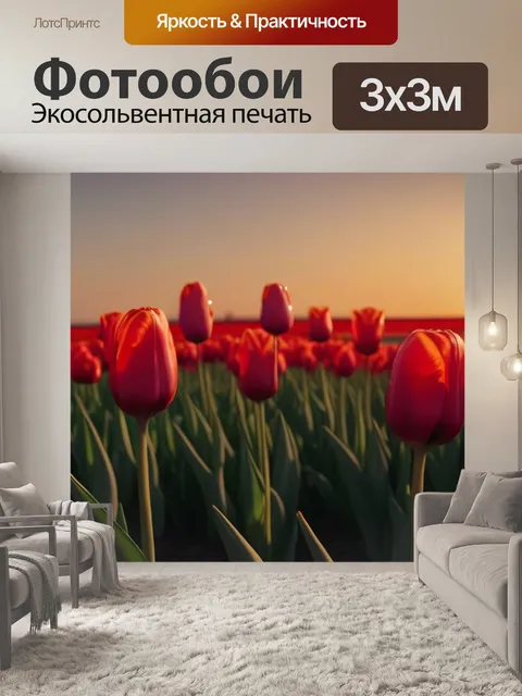 Фотообои поле тюльпанов на закате
