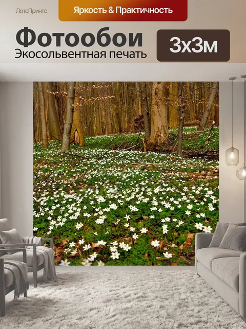 Фотообои Анемоны
