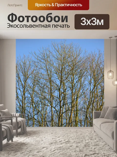 Фотообои Деревья