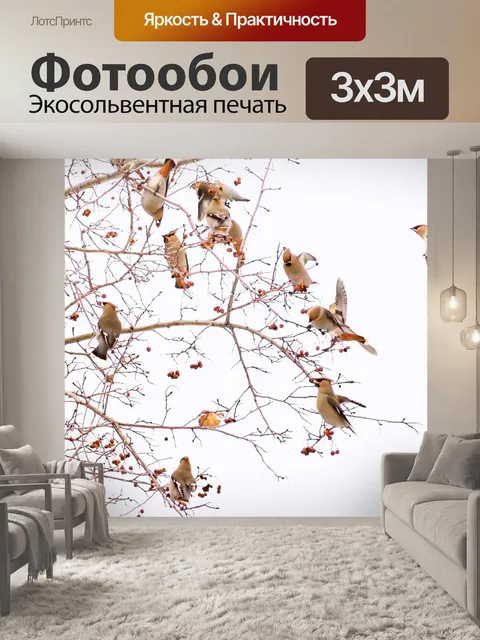 Фотообои Птицы