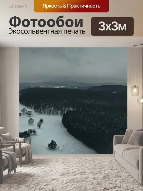 Фотообои Дрон