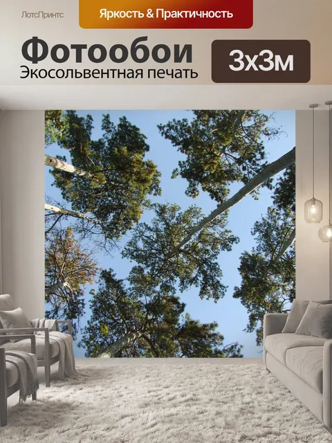 Фотообои Деревья