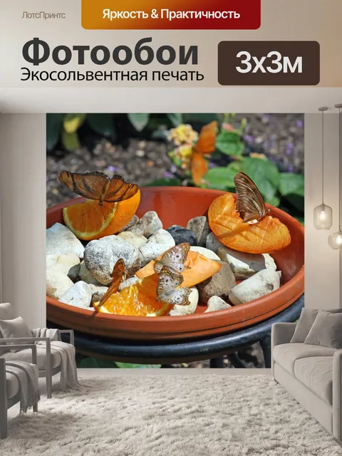 Фотообои Фрукты