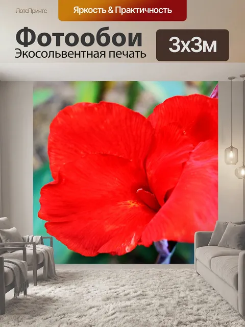 Фотообои Красный цветок 3
