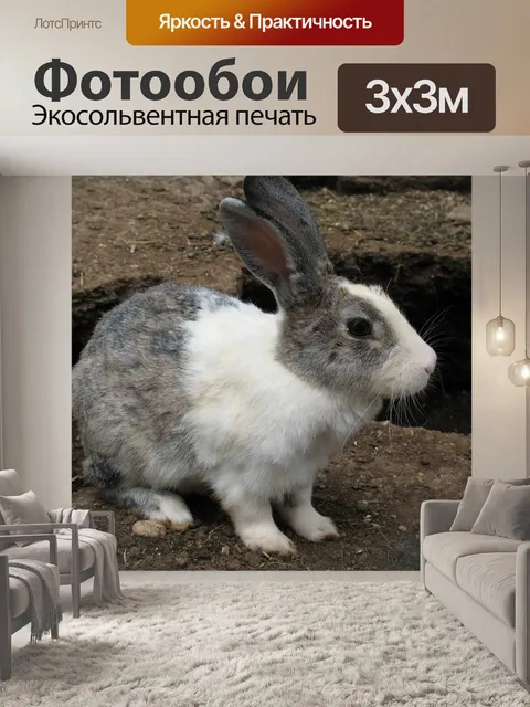 Фотообои Кролик