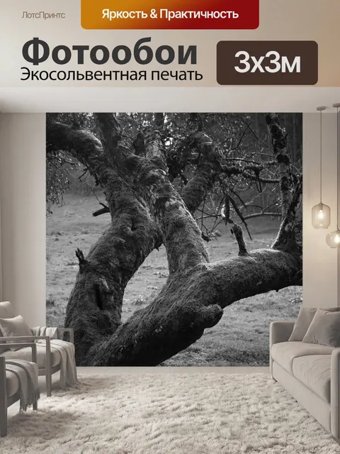 Фотообои Дерево