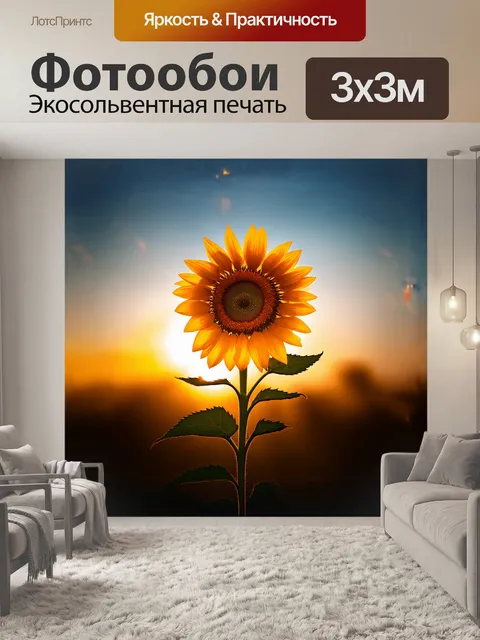 Фотообои одинокий подсолнух в закатном свете