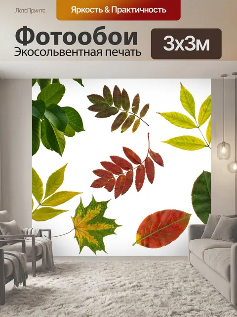 Фотообои Листья