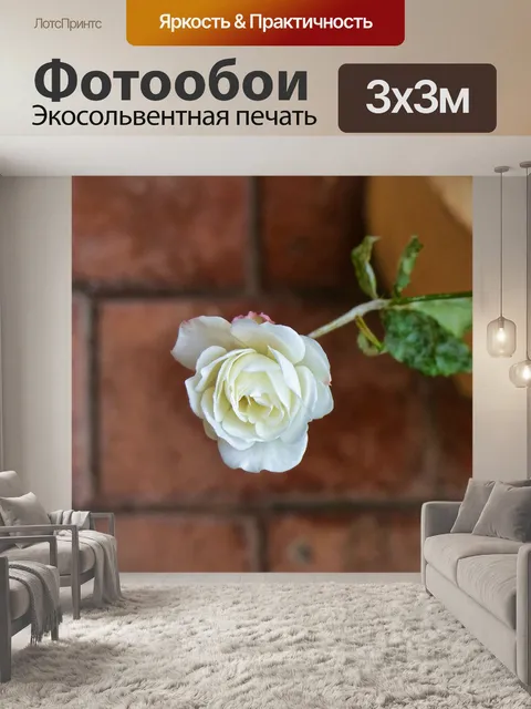 Фотообои белая роза