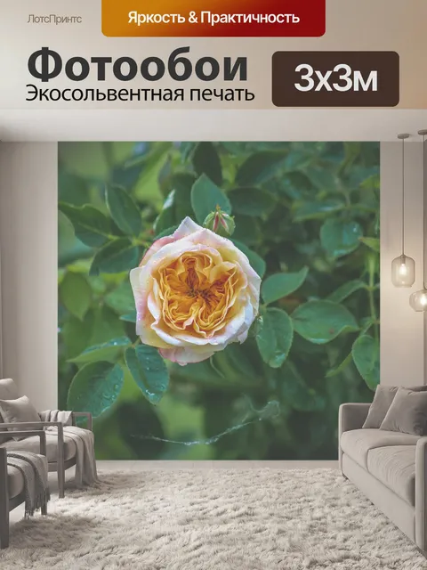 Фотообои Роза