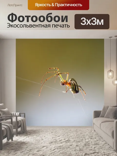 Фотообои Насекомое
