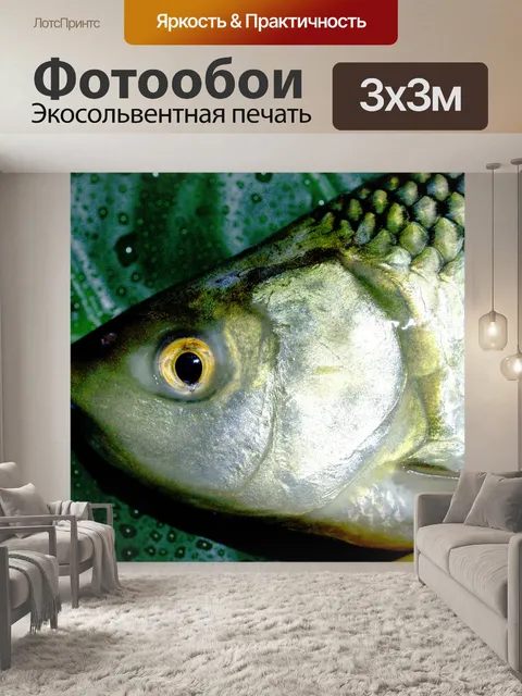 Фотообои Пресноводная рыба фото