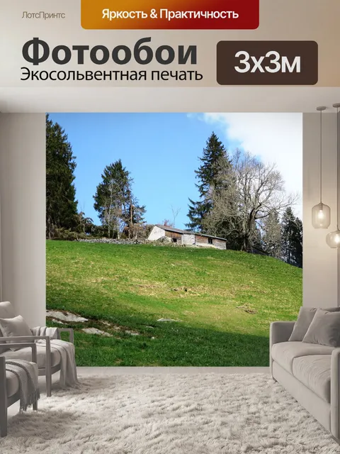 Фотообои Дерево
