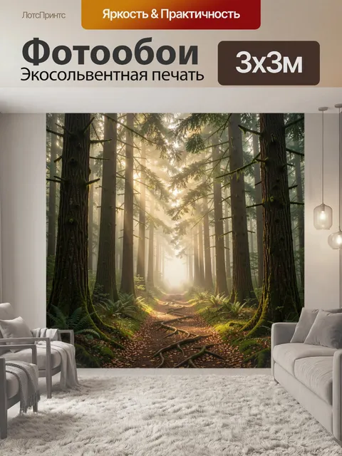 Фотообои Лесная тропа в солнечном тумане