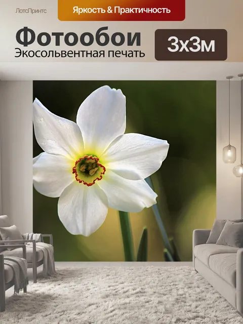 Фотообои Сад цветов