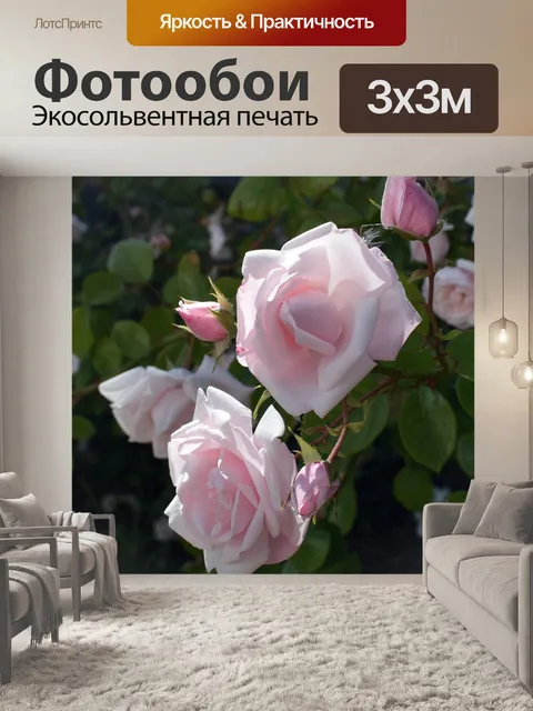 Фотообои Розы