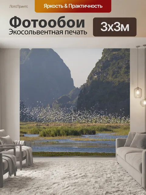 Фотообои Птицы