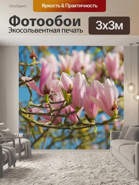 Фотообои Магнолии Цветы