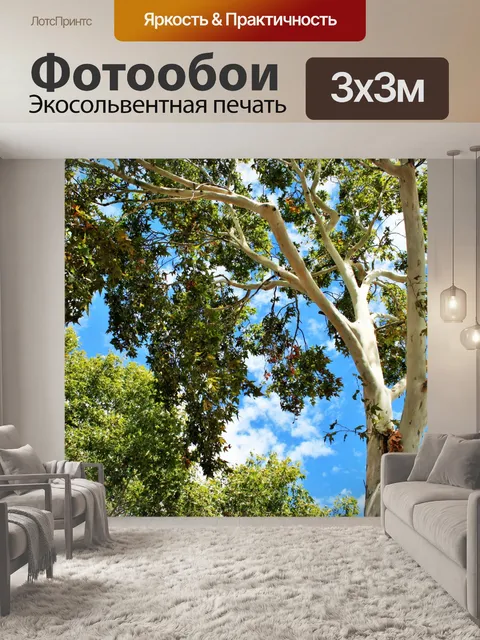 Фотообои свет на плоских ветвей деревьев