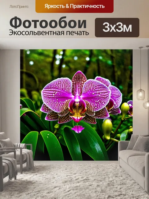 Фотообои группка фаленопсисов, растущих в тропическом лесу, окружённых зелёными листьями и яркими цветами