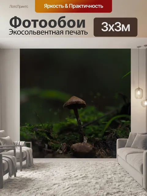 Фотообои Гриб
