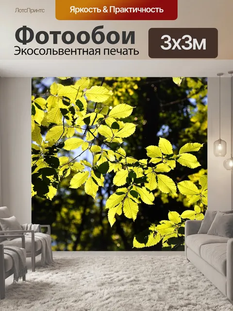 Фотообои Лес