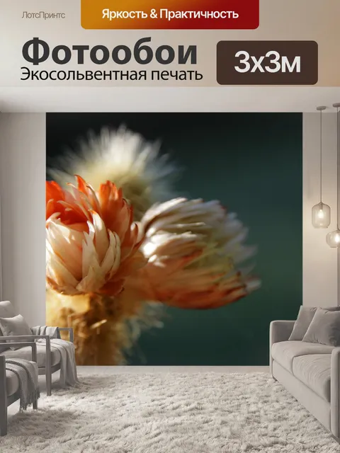 Фотообои Кактус