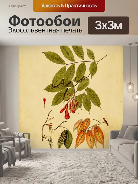 Фотообои Листья ботанического искусства печати