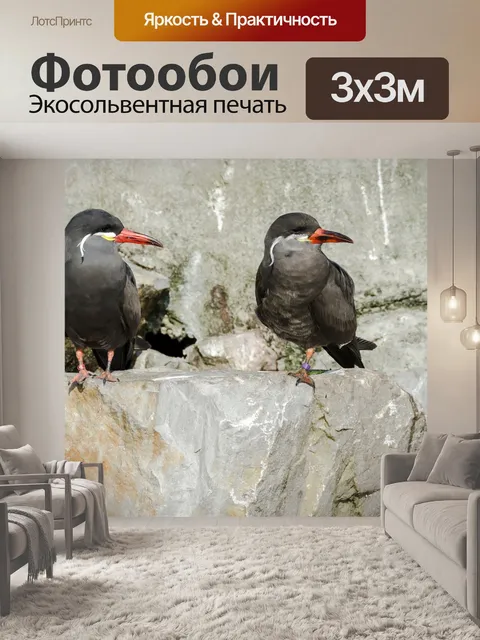 Фотообои Птицы