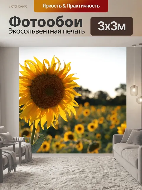 Фотообои Подсолнечник