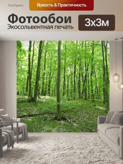 Фотообои Лес