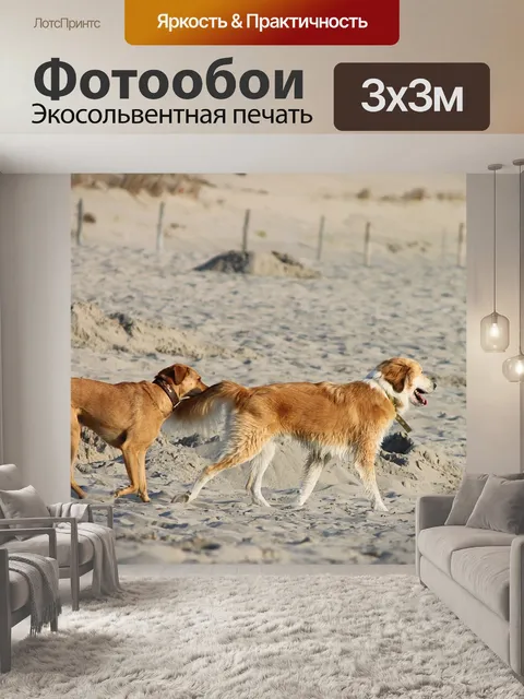 Фотообои Собаки