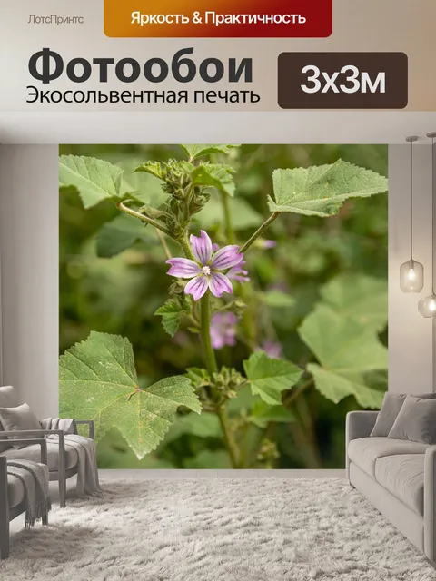 Фотообои Цветы