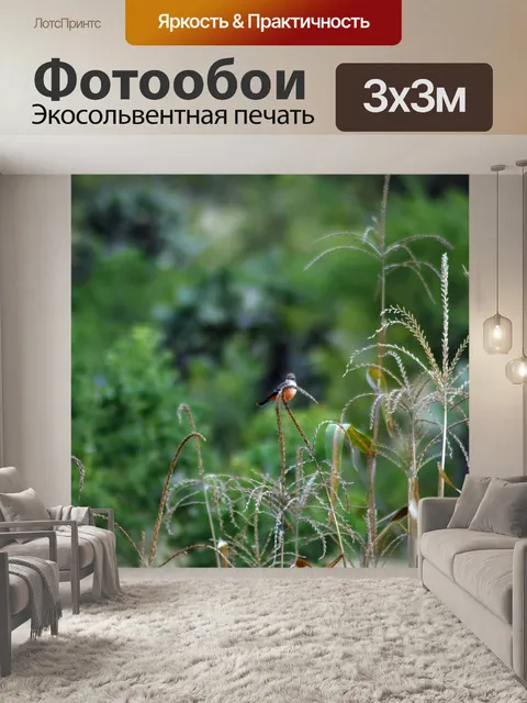Фотообои Птица
