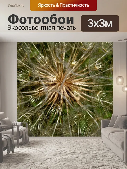 Фотообои Одуванчик